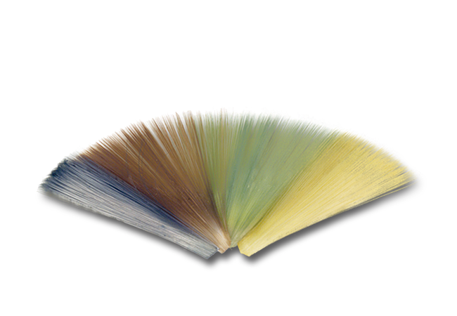 Tailing Fibers (Microfibbetts)