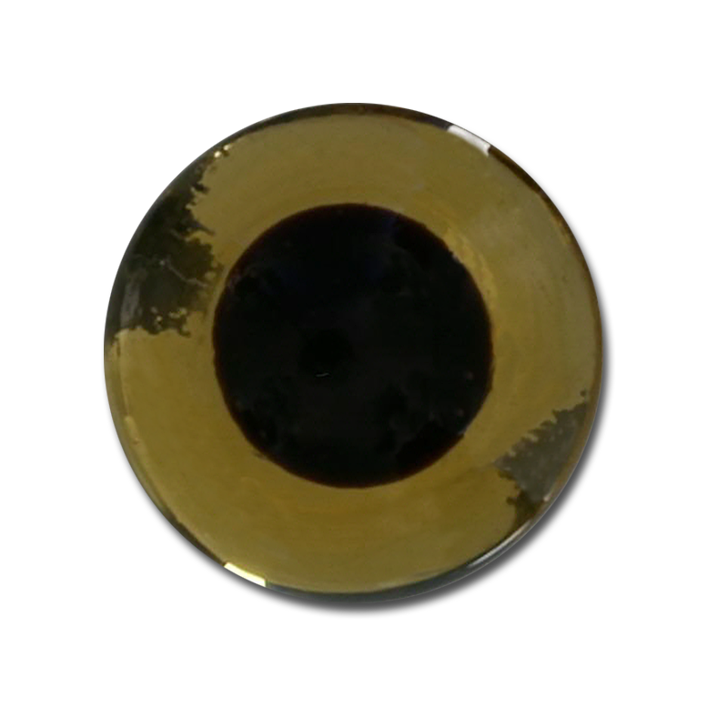 The Fly Shop's Glass Taxi Eyes