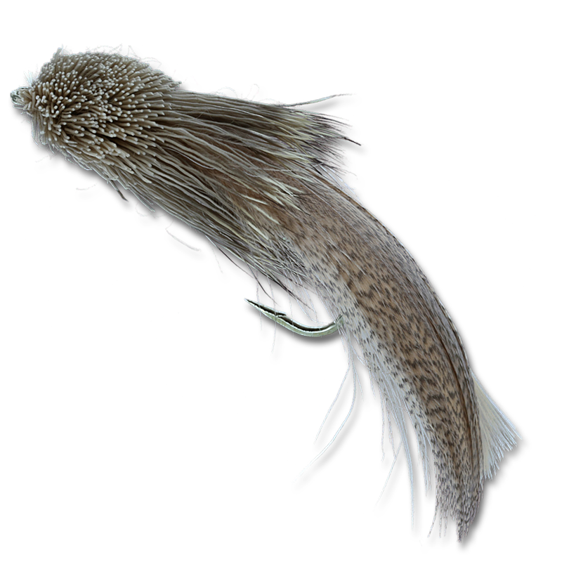 Galloup's Zoo Cougar - #4