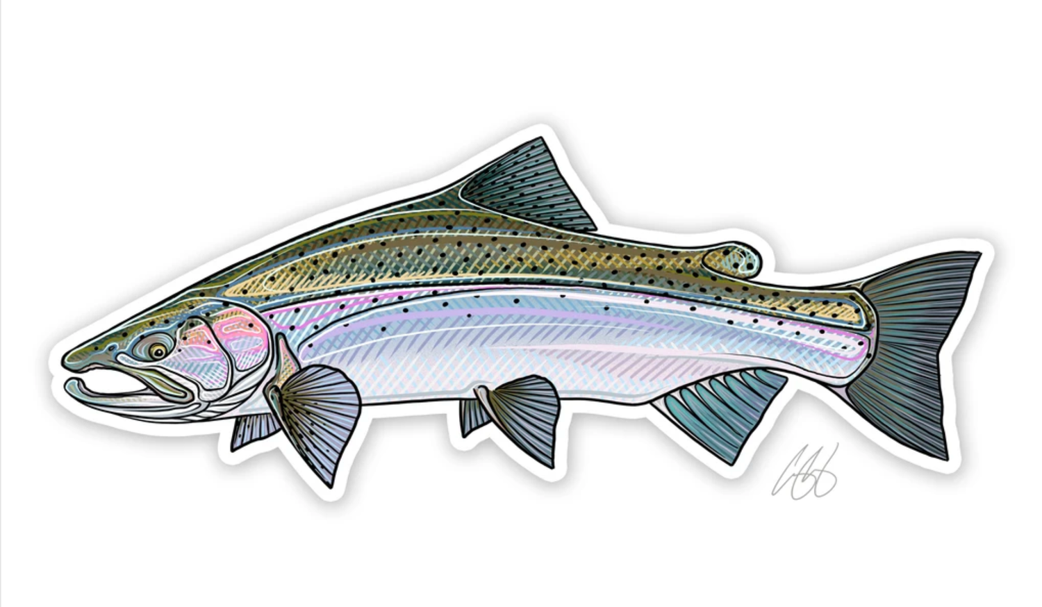 Casey Underwood Fish Decals