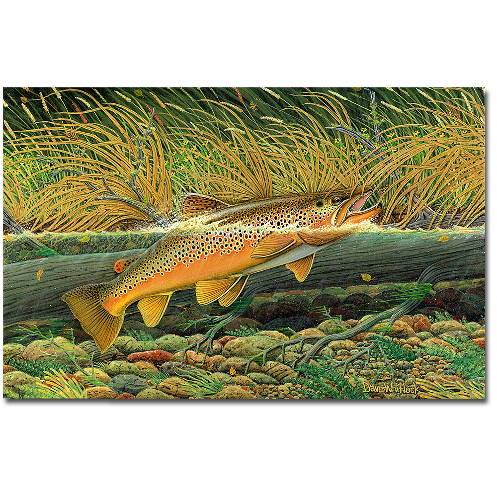 Whitlock's Hopper Wind Print - Limited Edition