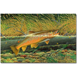 Whitlock's Hopper Wind Print - Limited Edition