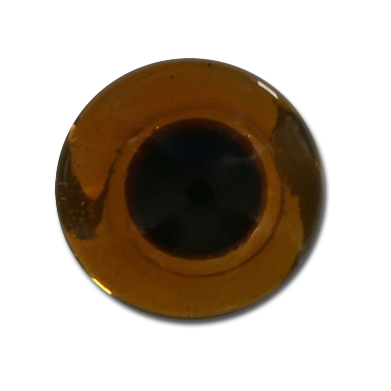 The Fly Shop's Glass Taxi Eyes