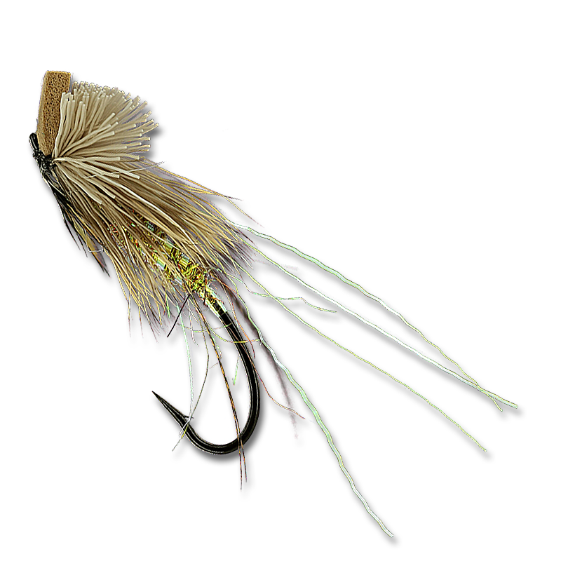 Brett's Klamath Skater - #7