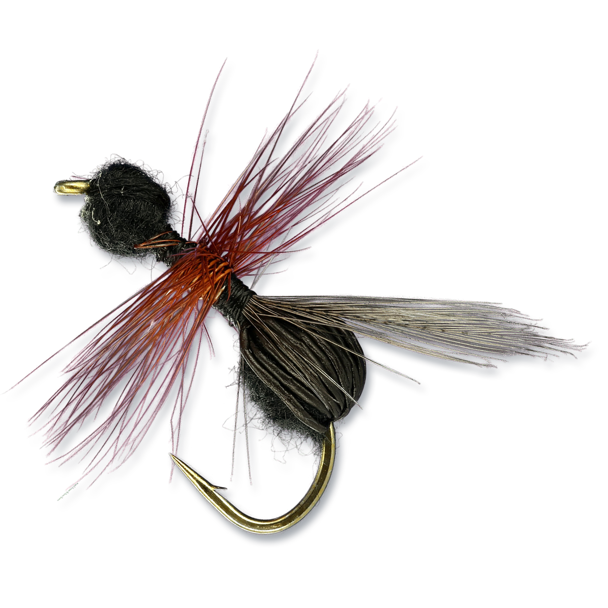 Black Flying Ant - Black #14