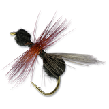 Black Flying Ant - Black #14