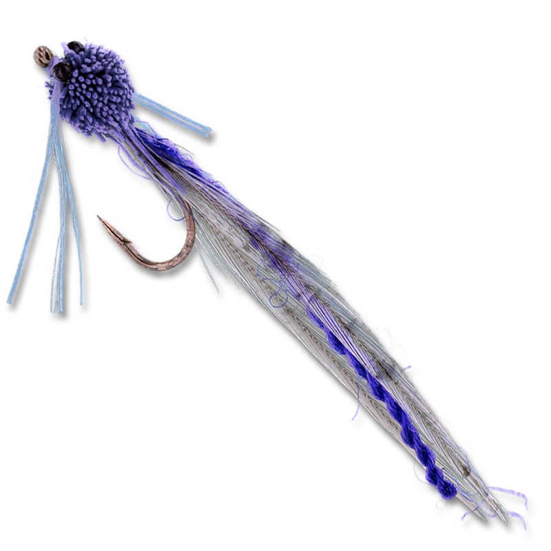 Burk's Adult Damsel - #10