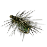 Griffith's Gnat - #20