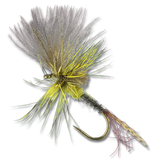 Harrop's Last Chance Cripple