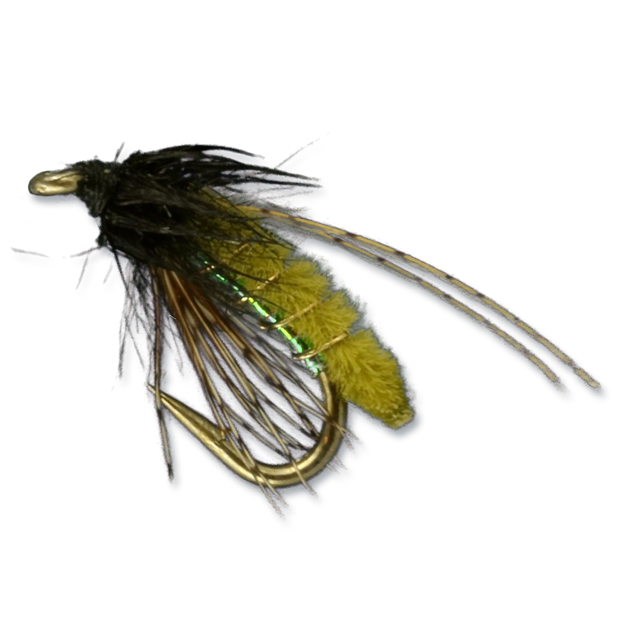 Fox's Micro Poopah - #16