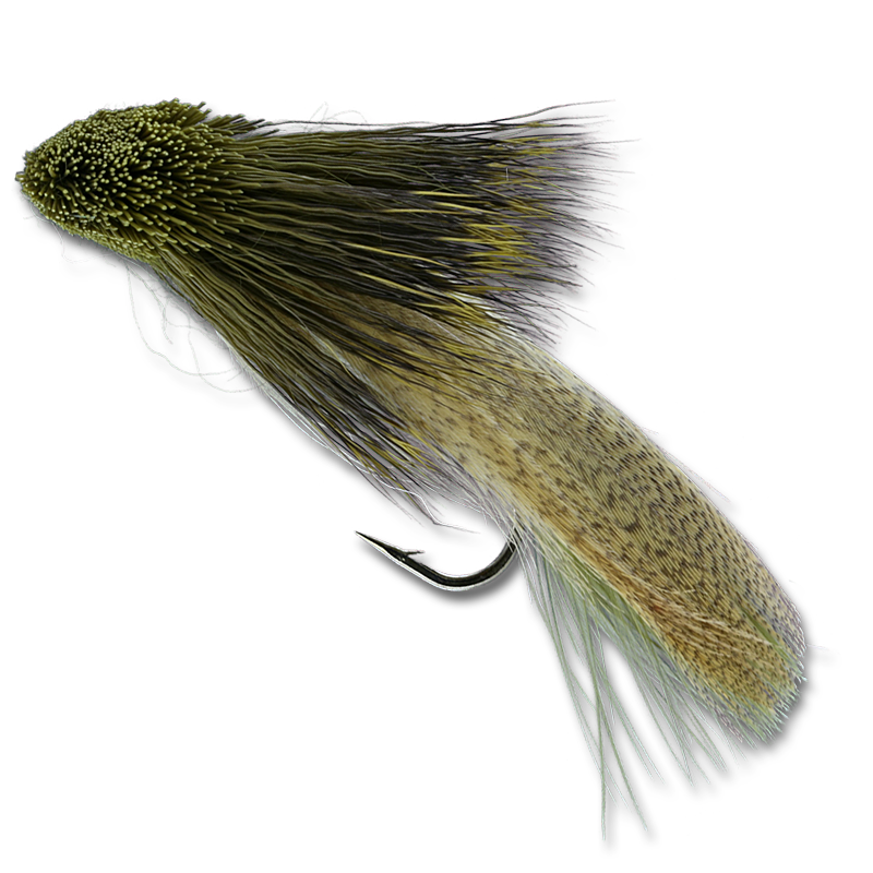 Galloup's Zoo Cougar - #4