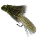 Galloup's Zoo Cougar - #4