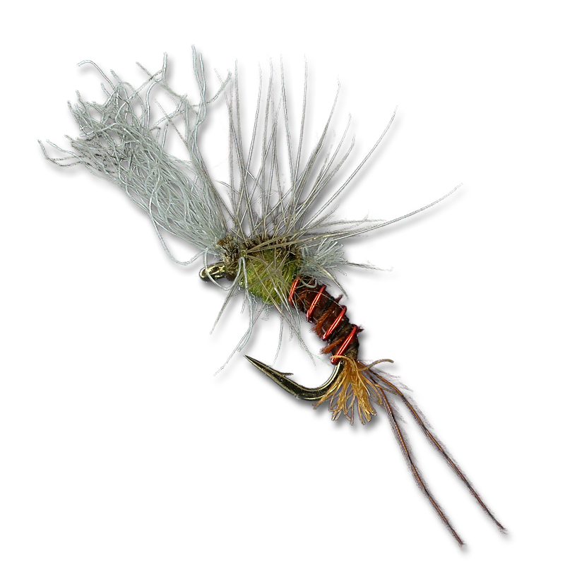 Quigley's Film Critic