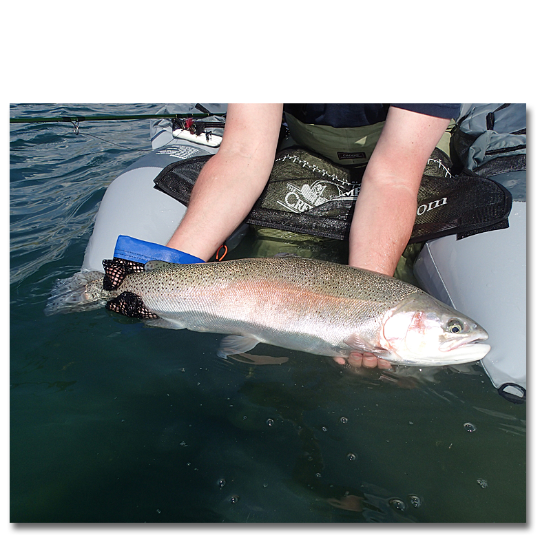 Jim Teeny's Landing Hand