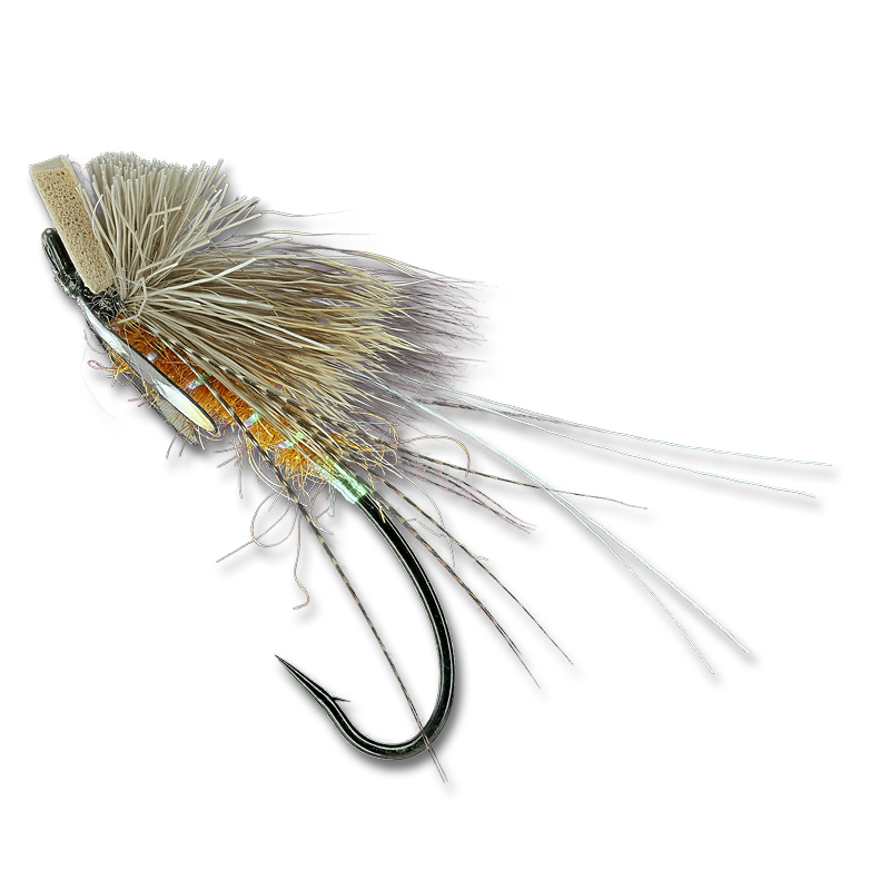 Brett's Klamath Skater - #7