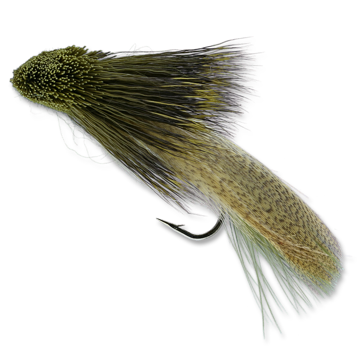 Galloup's Zoo Cougar - #4