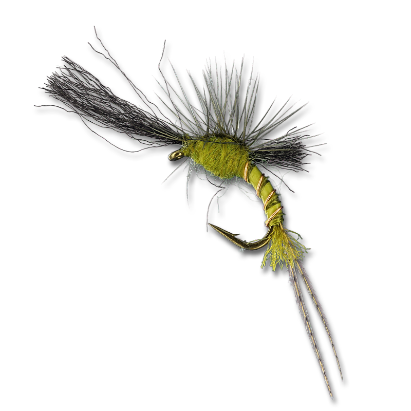 Quigley's Film Critic