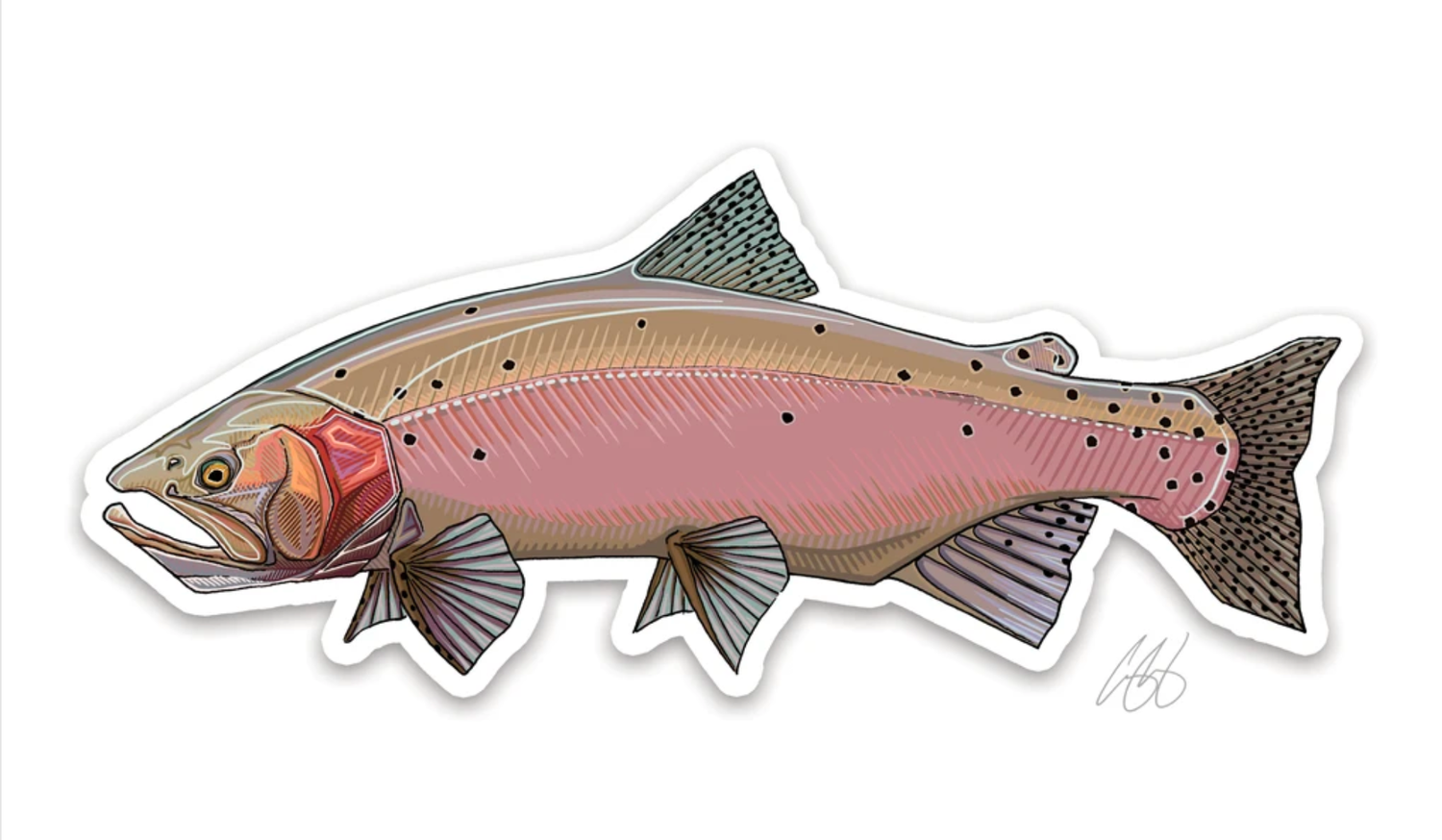 Casey Underwood Fish Decals