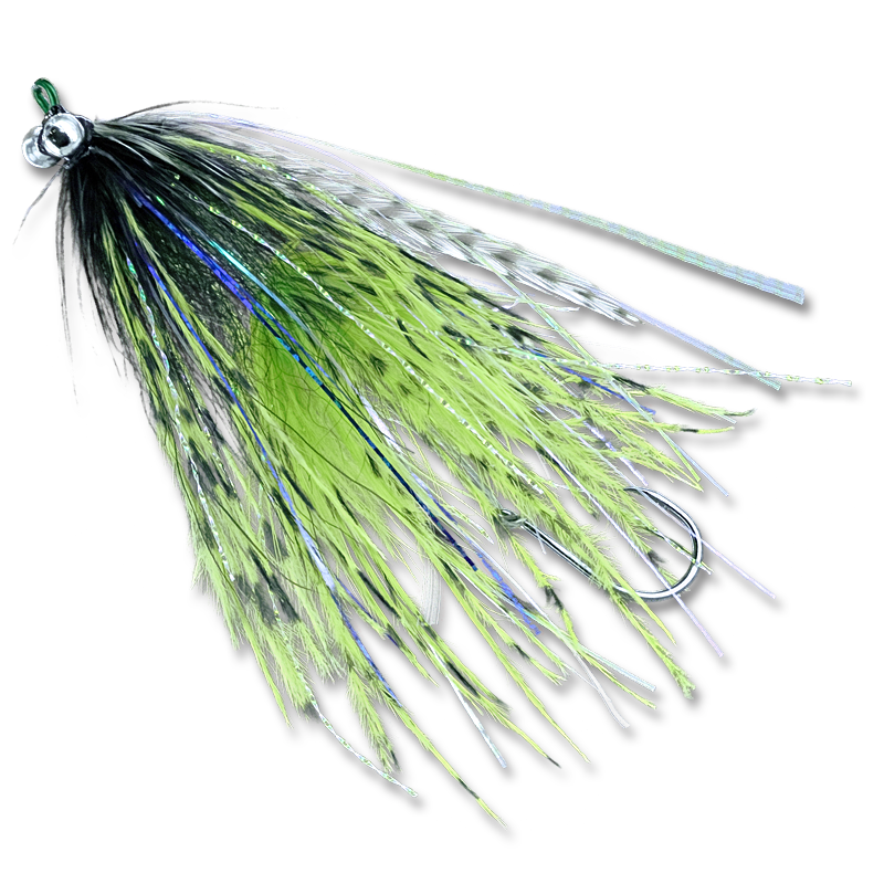 Barred Ostrich Intruders - #2