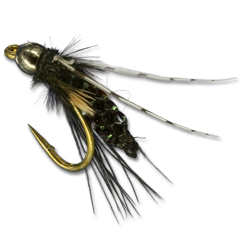 Silvey's Beaded Pupa