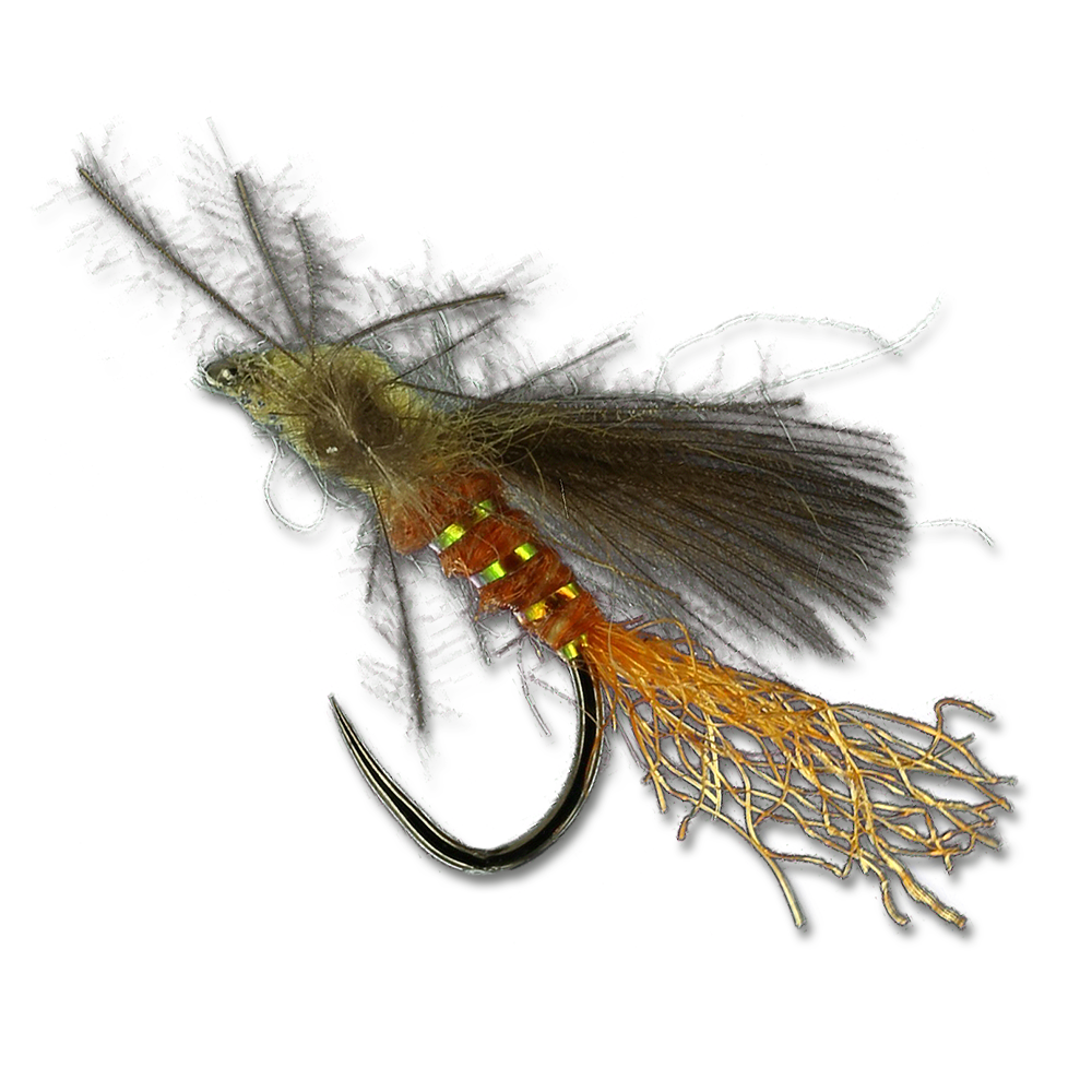 Eldin's CDC Emerger