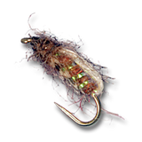 Bubbleback Caddis - #14