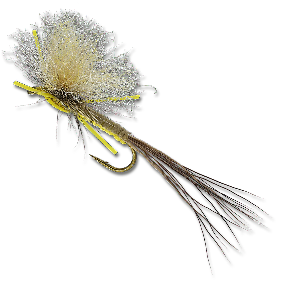 Lance's Hex Dun - #6