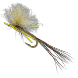 Lance's Hex Dun - #6