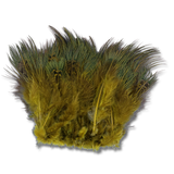 Strung Ringneck Pheasant Rump