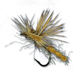 Mercer's Missing Link - Honey Ant #14