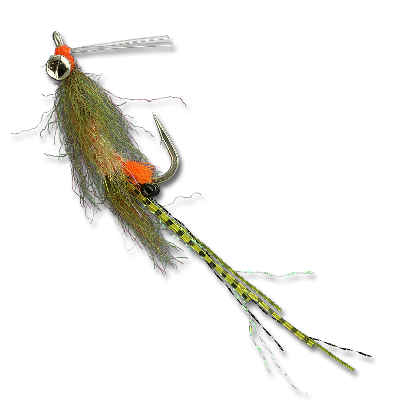 Enrico's Lead Eye Spawning Shrimp - #4