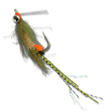 Enrico's Lead Eye Spawning Shrimp - #4