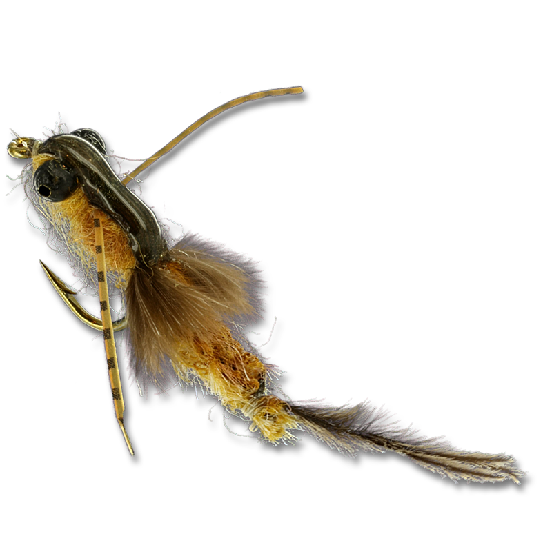 Mercer's Rag Hex - #6