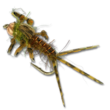 Swink's BTS GD (Green Drake) - #12