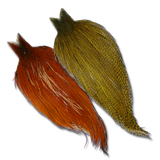 Whiting Farms Cock Necks