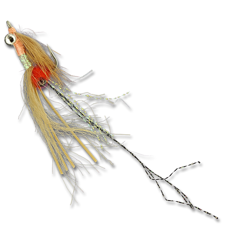 Peterson's Spawning Shrimp - #2