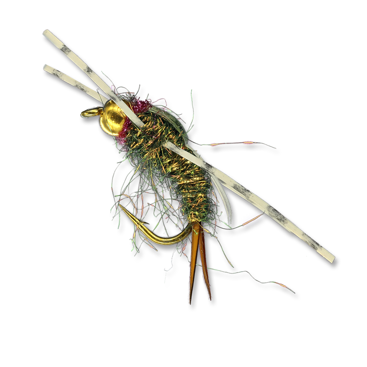 EMB GBRL Prince - #6