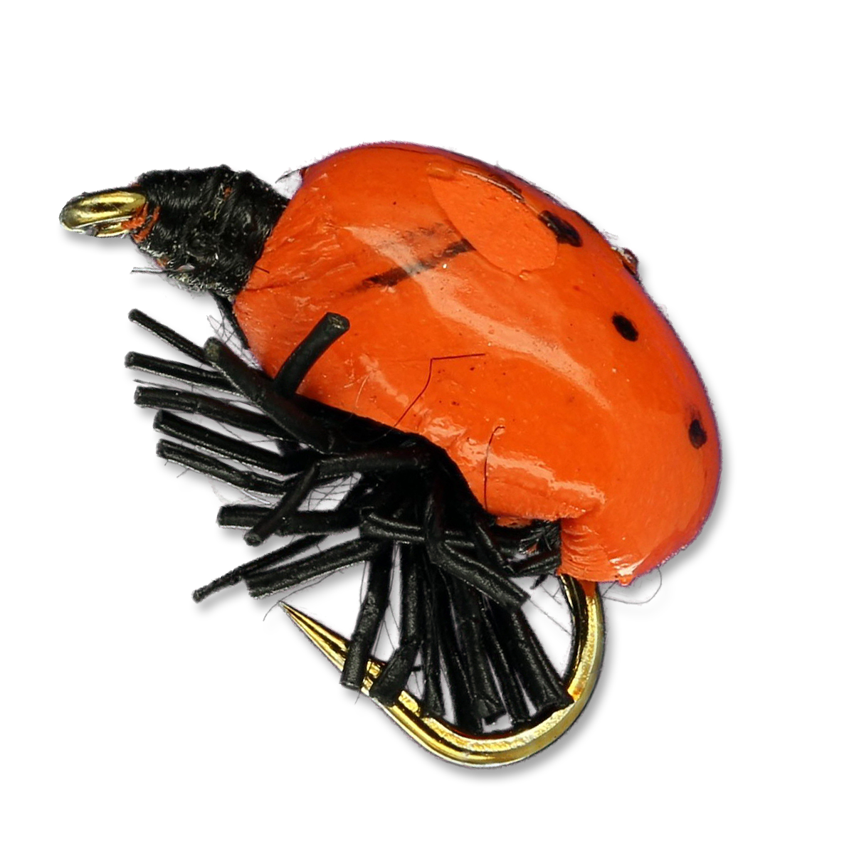 Rainy's Lady Bug - #16