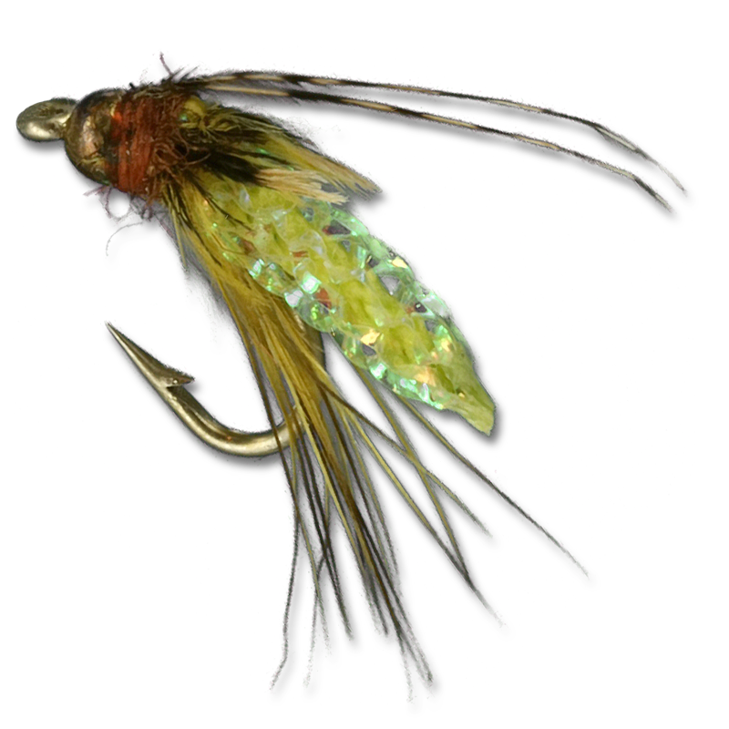 Silvey's Beaded Pupa