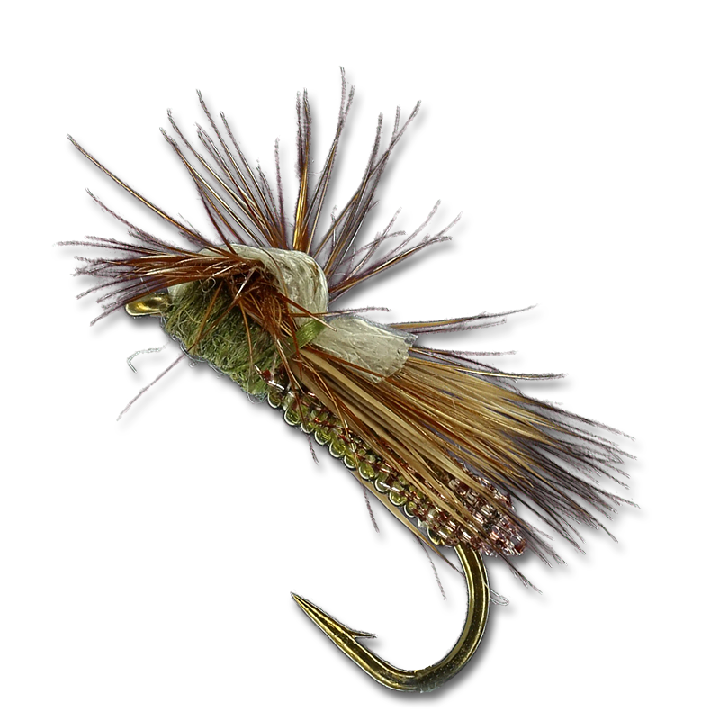Outrigger Caddis - Olive #16
