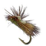 Outrigger Caddis - Olive #16