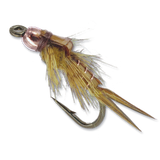 Andy's Biot Stone - #16