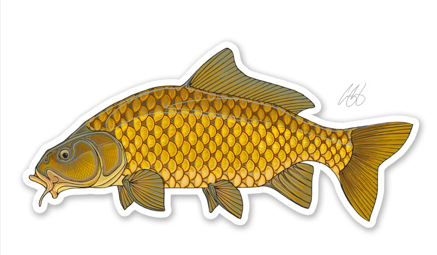 Casey Underwood Fish Decals