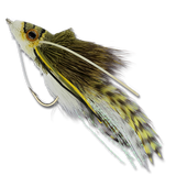 Whitlock's Swimming Frog