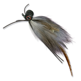 Zimmerman's Boobie Mouse - #2