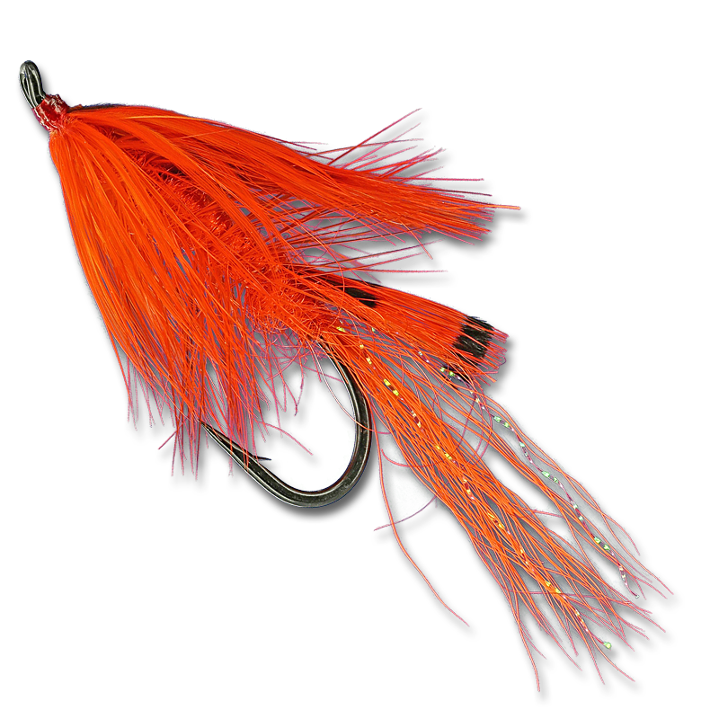 General Practitioner - #2