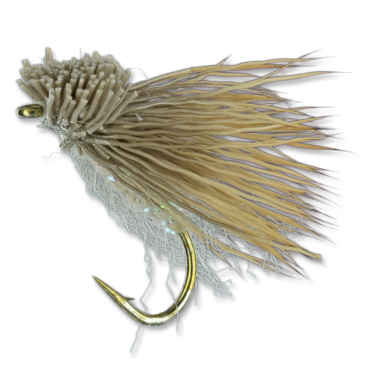 Potter's Fat Head Moth