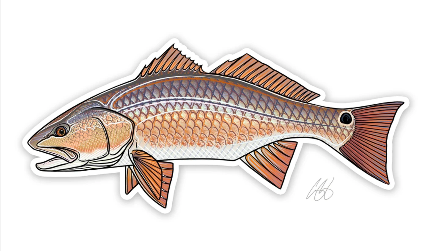 Casey Underwood Fish Decals