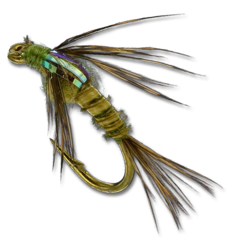 Lightnin's Biot Baetis