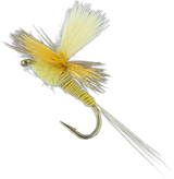 Quill Body - PMD #16